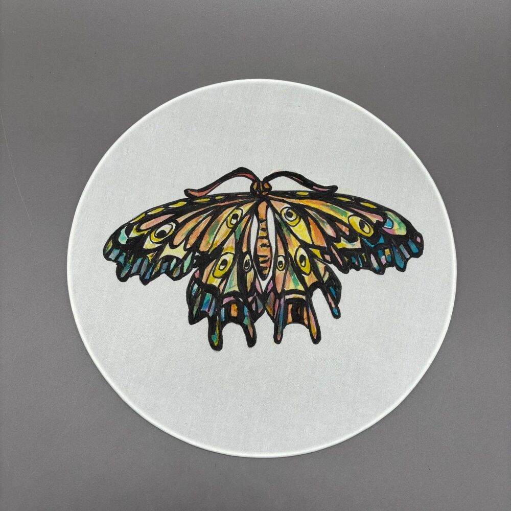 Hand Painted Silk Moth Butterfly Art Panel Wall Rainbow Decor Metal Hoop 10"